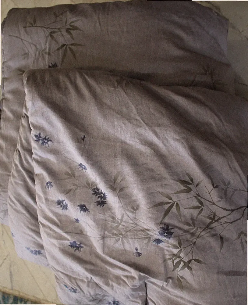 Calvin Klein 100% cotton Bamboo Flowers Queen Comforter