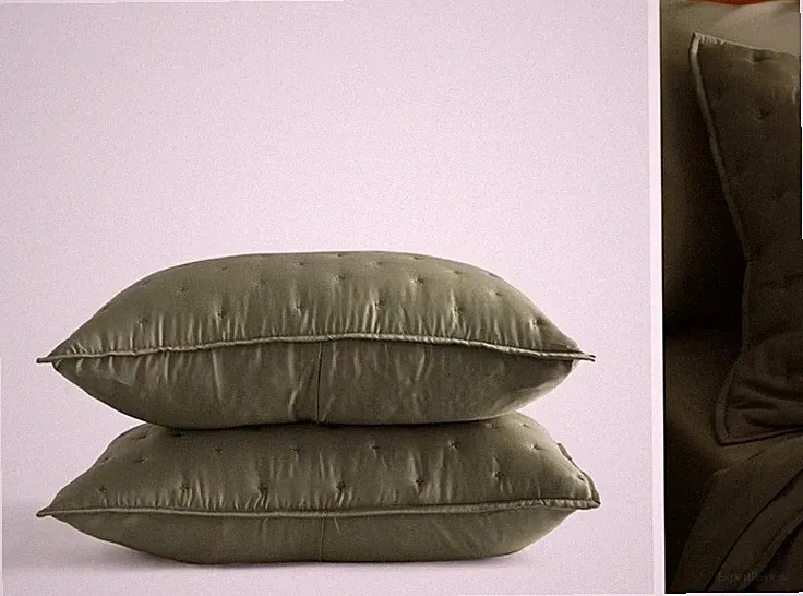 NEW DIRTY Quince Organic Bamboo Olive Green Standard Shams! (Set Of 2)