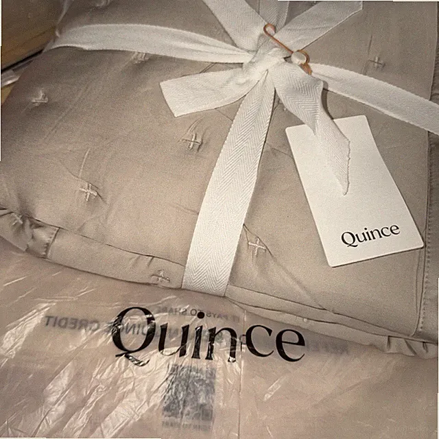 NEW Quince Bamboo Dream Quilted Sham Set. KING, Sand.