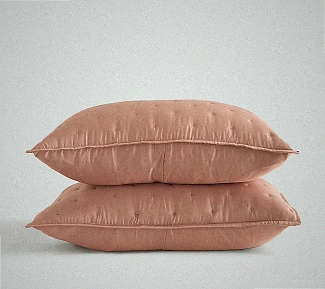 NWOT! Quince Organic Bamboo Set Of 2 Clay Shams! KING (S87)
